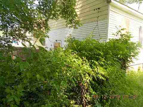 15022 Fordham (6)_m.jpg